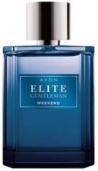 1383957 Туалетная вода Elite Gentleman Weekend, 75 мл 1383957 - фото 6454