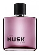 1394435 Туалетная вода Musk Storm для него, 75 мл